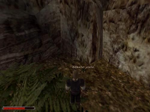 Gothic 2 000631,3